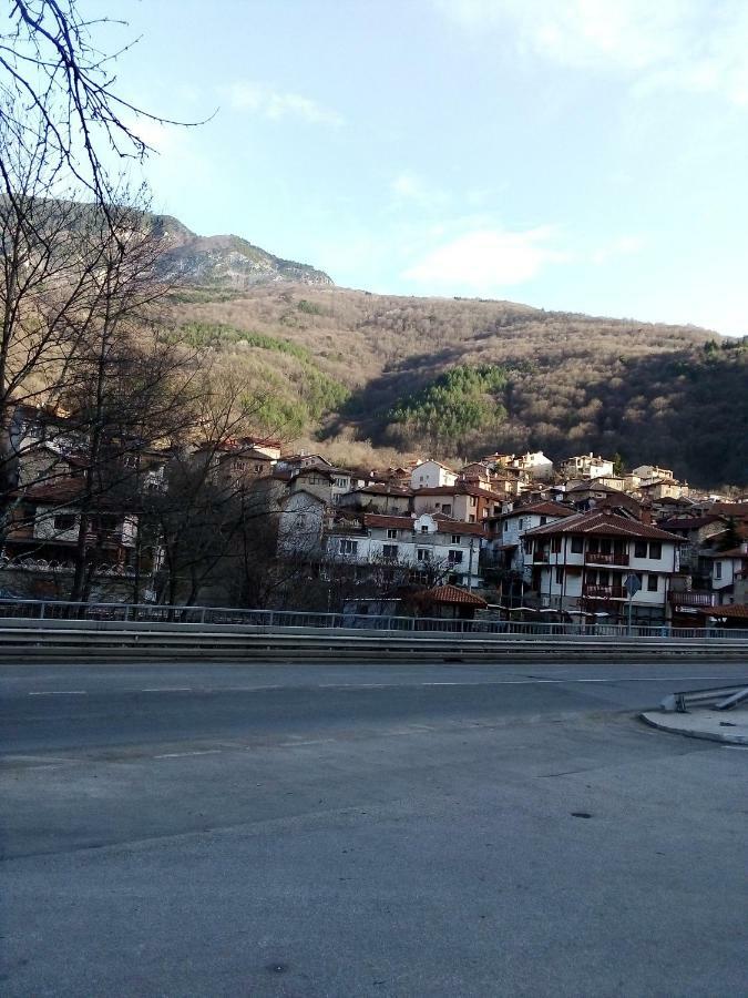Vila Bachkovo Exterior foto